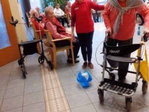 basteln_bingo_rollator_4